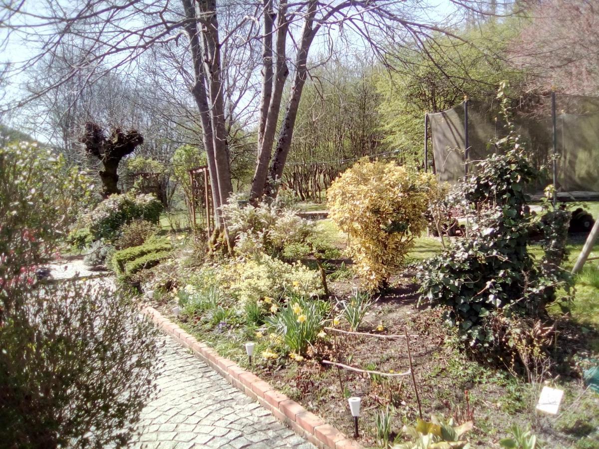 Largnac Le Relais Des Capucines Bed & Breakfast エクステリア 写真